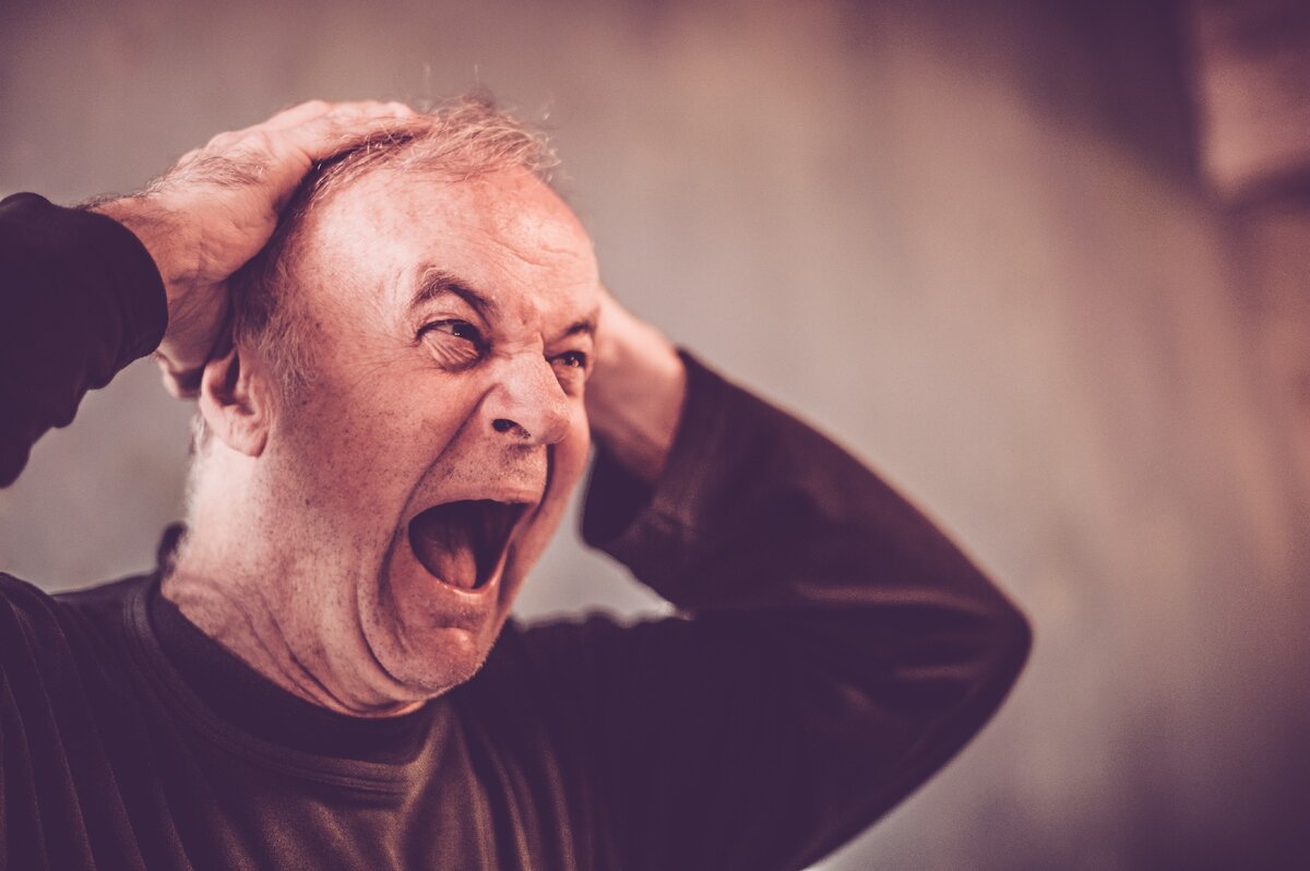 фото Яндекс