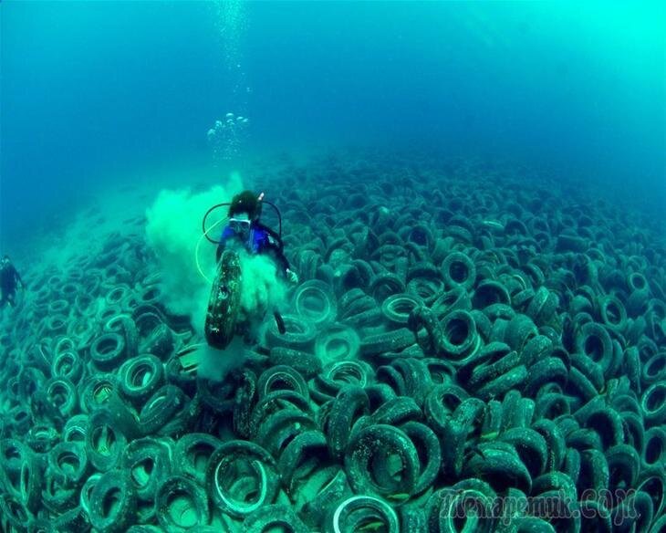 Куча покрышек на дне моря