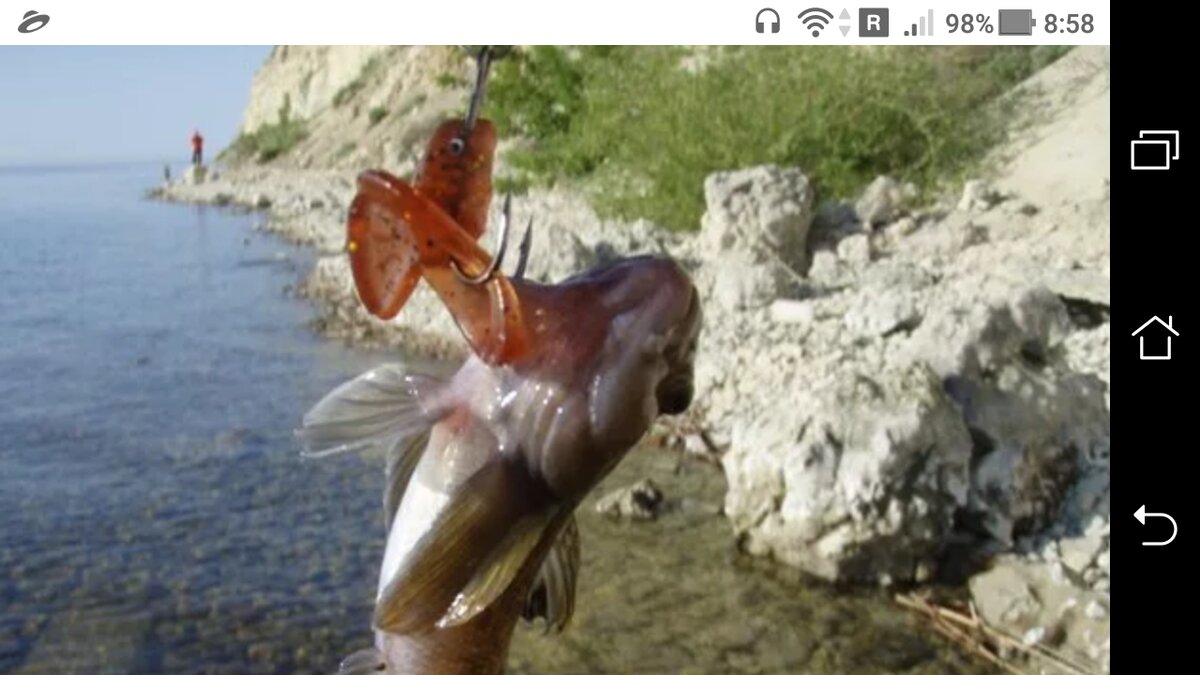 фото Донка - морская снасть для ловли бычка + два крючка