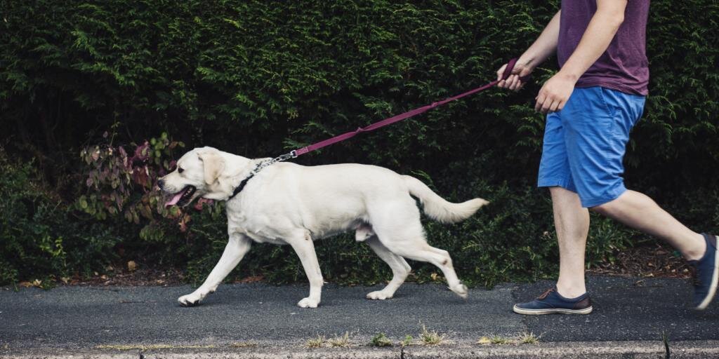 Яндекс.картинки