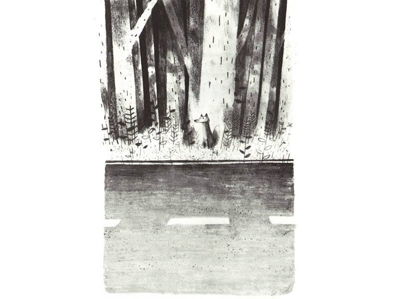 Иллюстрации из книги Сары Пеннипакер «Пакс» (иллюстратор — Джон Классен)