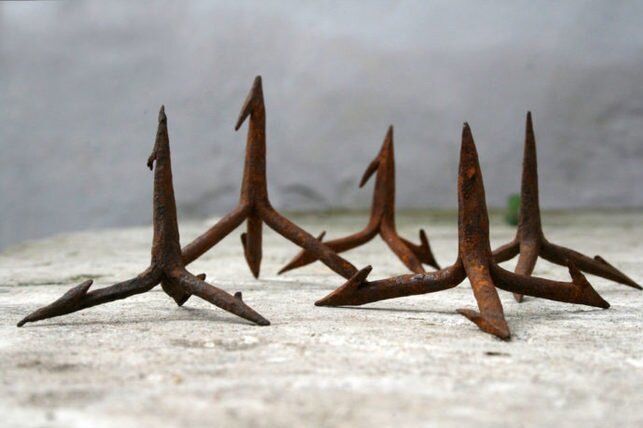 Чеснок на земле.