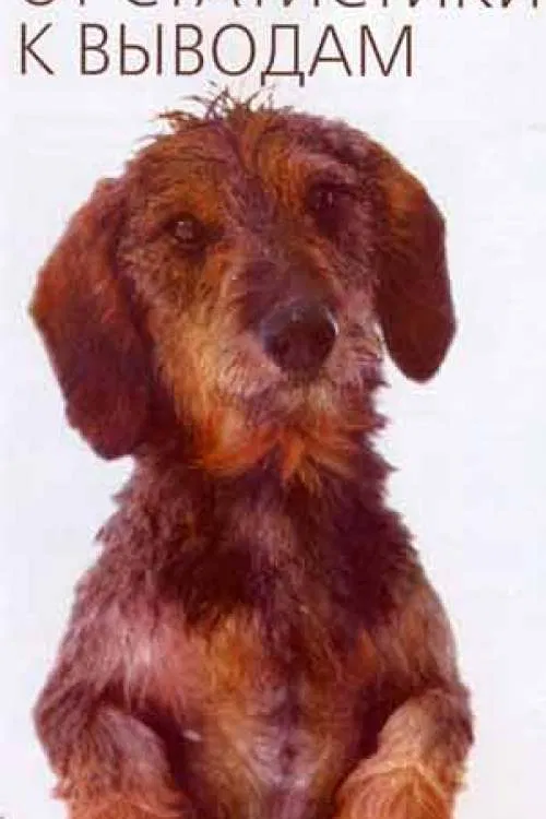 Фото Владимира Киселёва и Валерия Люшкова