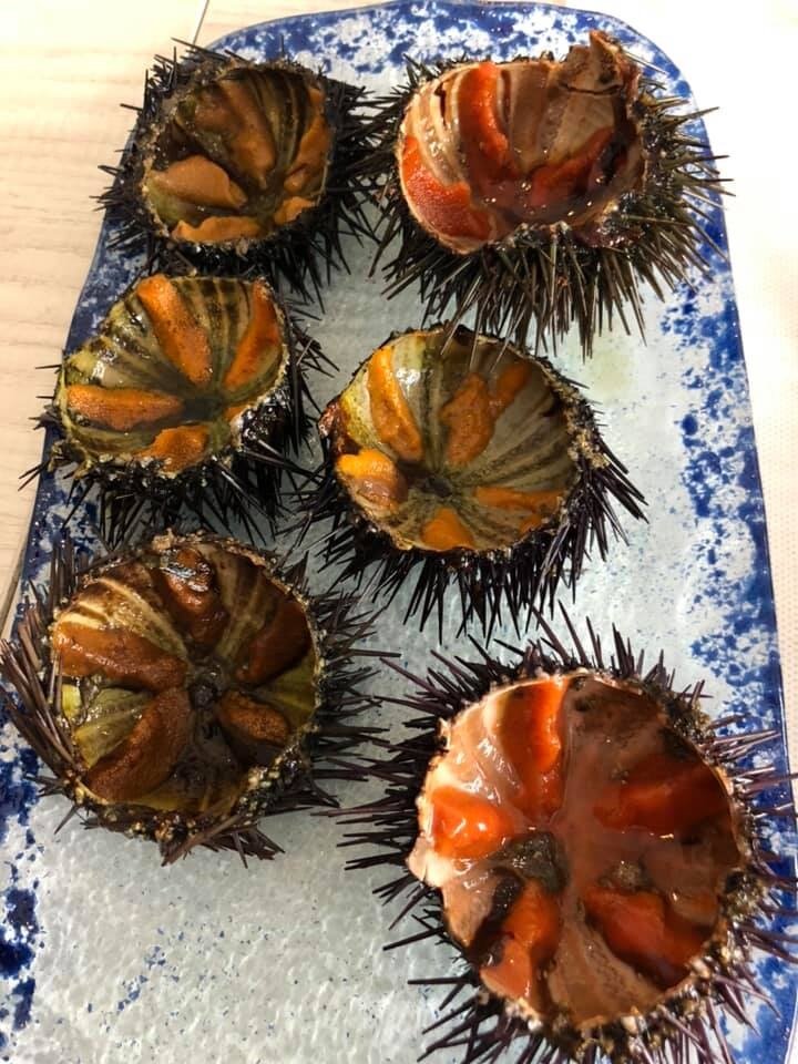 Как выглядит морской еж внутри