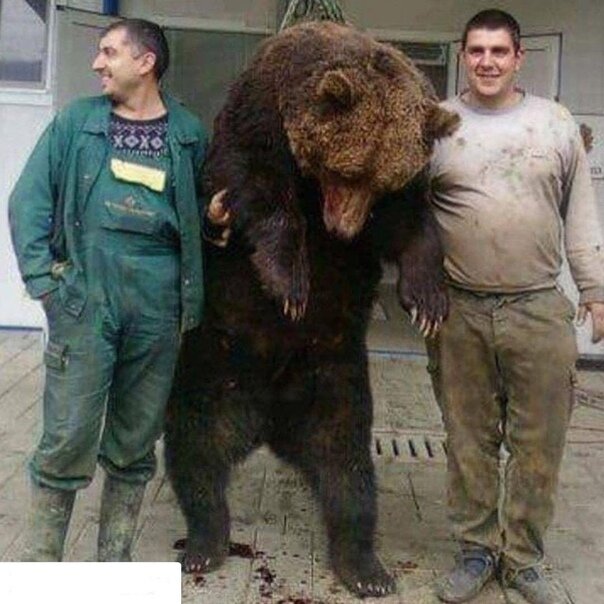 фото из свободного источника https://sun9-10.userapi.com/c850728/v850728310/17ccae/iXd5O-wolCY.jpg