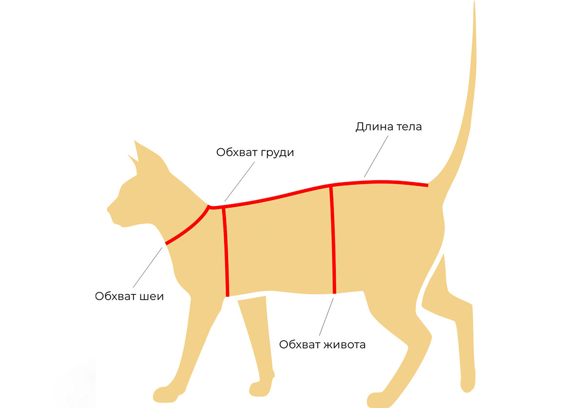 Как сшить одежду для кошек своими руками