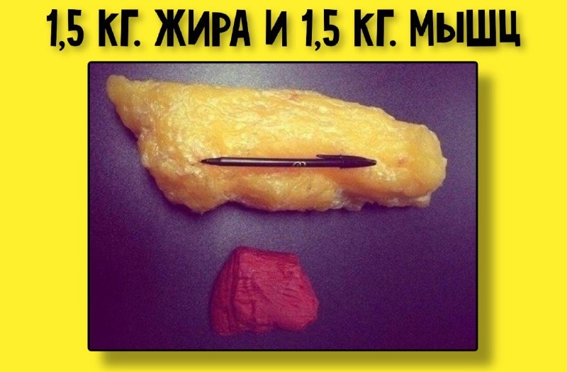 Нужны пояснения? (Фото из Яндекс.картинки)