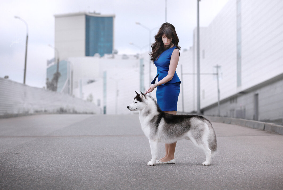 У Кобы бывает такое, надо привлечь внимание лаем. На фото Виктория (тренер) и Коба.