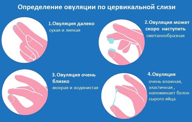 Ответы massage-couples.ru: Как определить сперму на одежде?