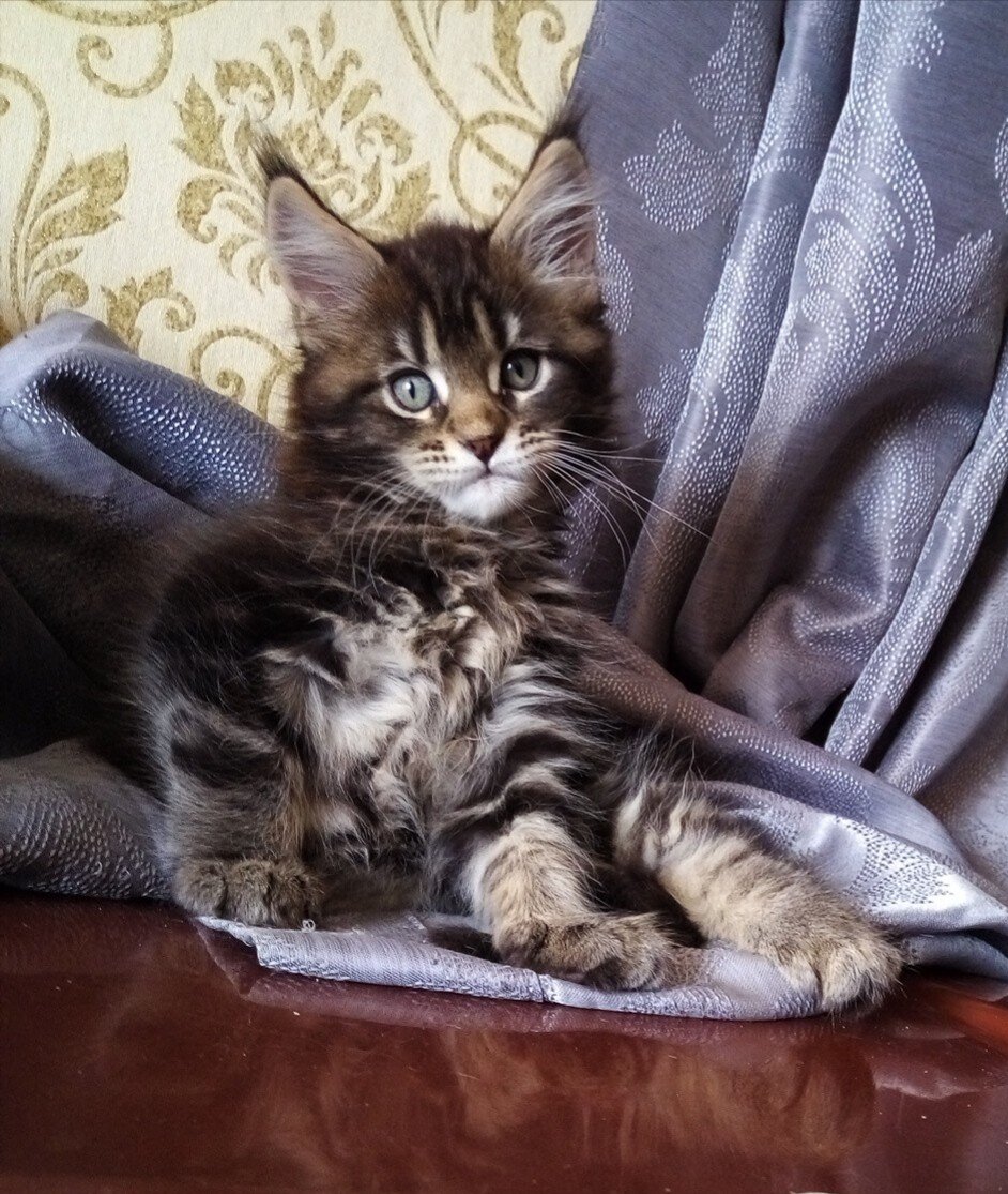 Личное фото автора 