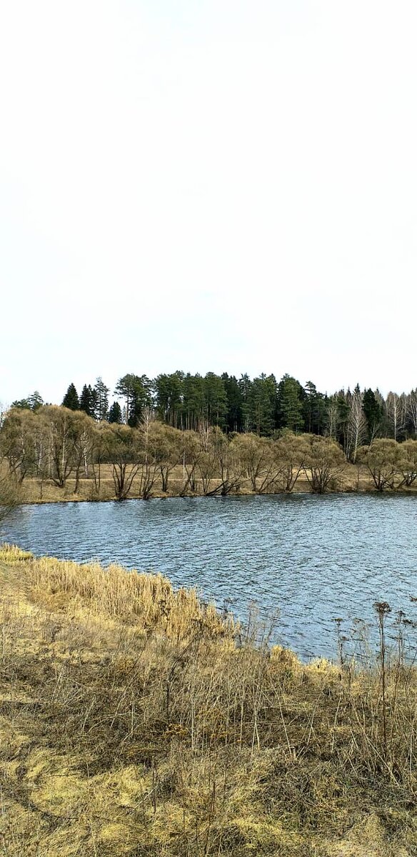 Берег озера