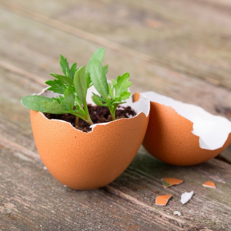 Источник фото: www.furnishhome.ru