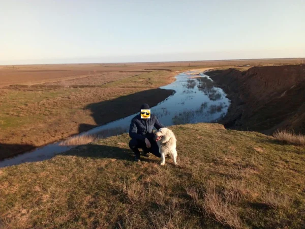 Гуляю с собакой) фото было сделано осенью прошлого года