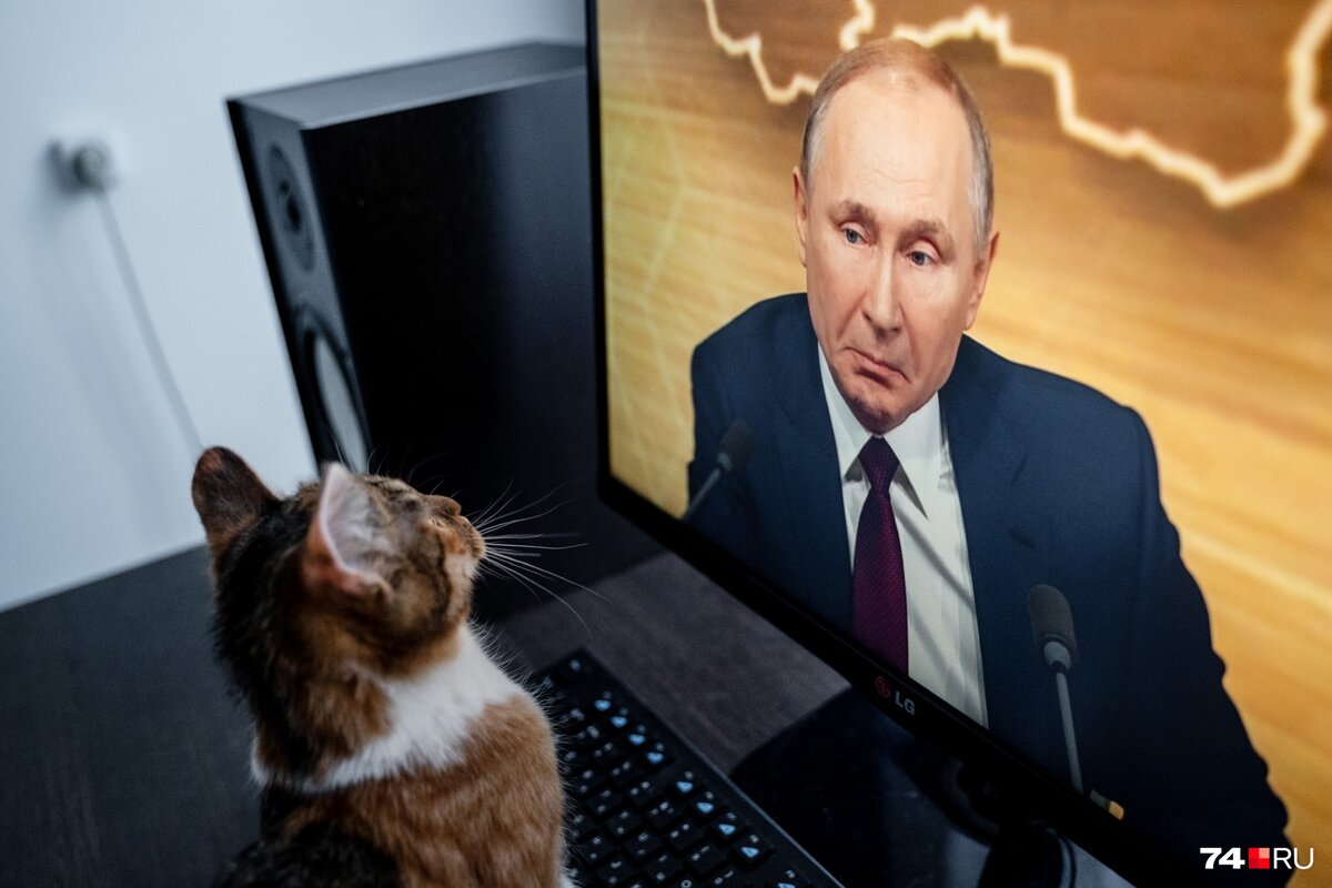 Источник картинки: https://omsk1.mirtesen.ru/blog/43834322797/Eto-nash-prezident-kak-strana-i-kotiki-smotreli-vyistuplenie-Put?nr=1&utm_referrer=mirtesen.ru