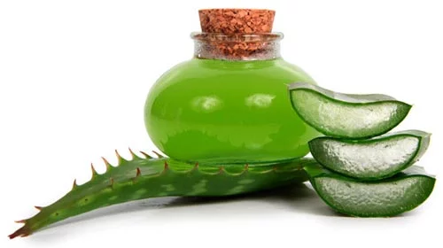 источник:https://www.pinterest.ru