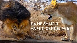 Начиналось все просто с шутки...