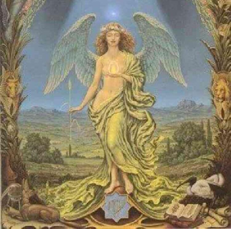 Все фото из открытых источников