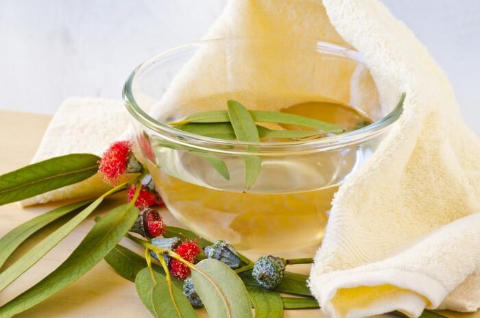 Эвкалипт при беременности можно использовать только в виде ингаляций и для полосканий горла