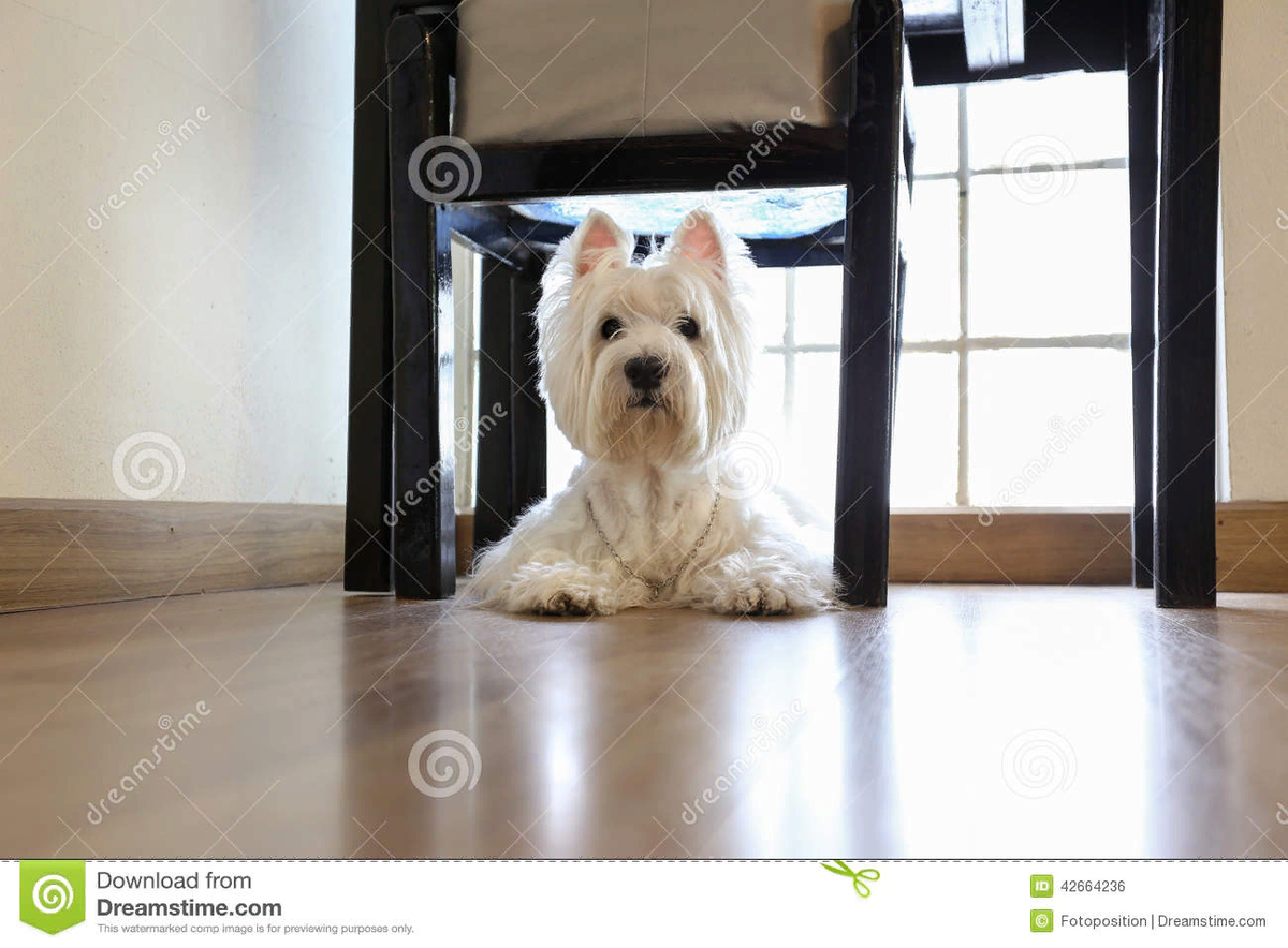 Яндекс фото