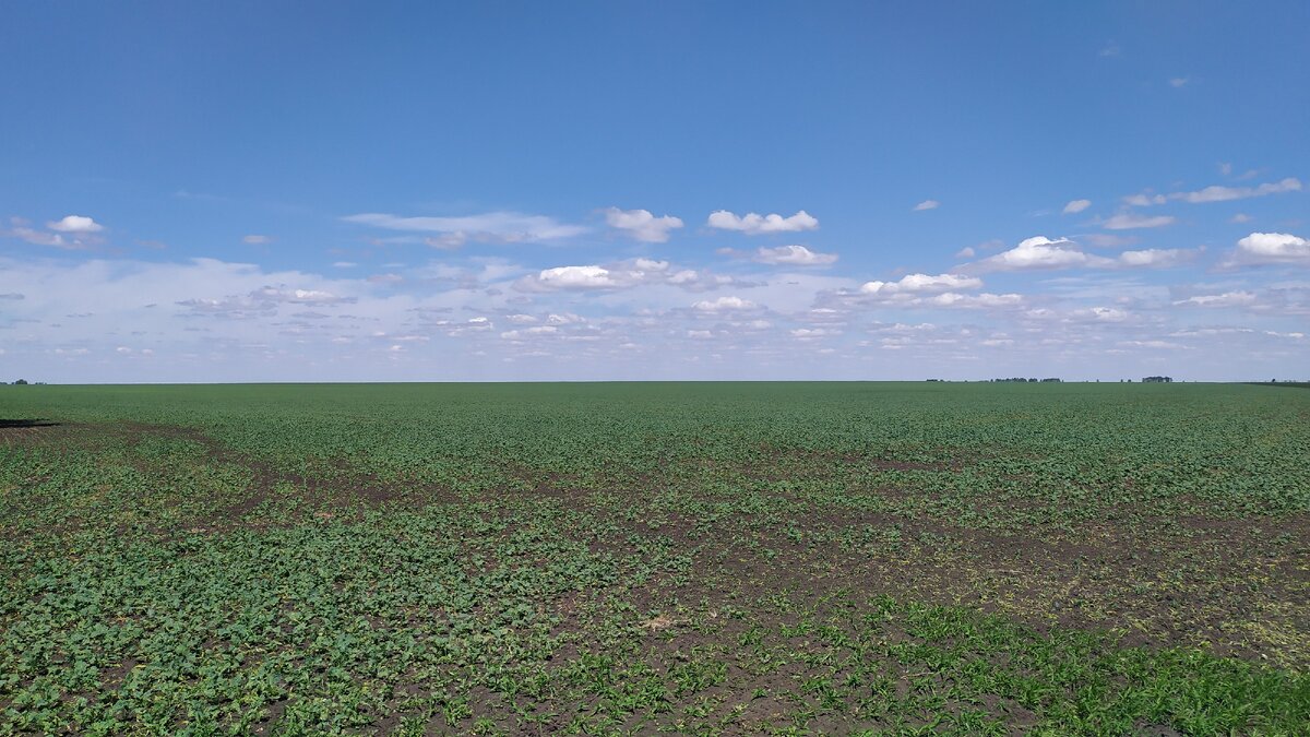 На съезде на грунтовую дорогу к озеру Эбейты