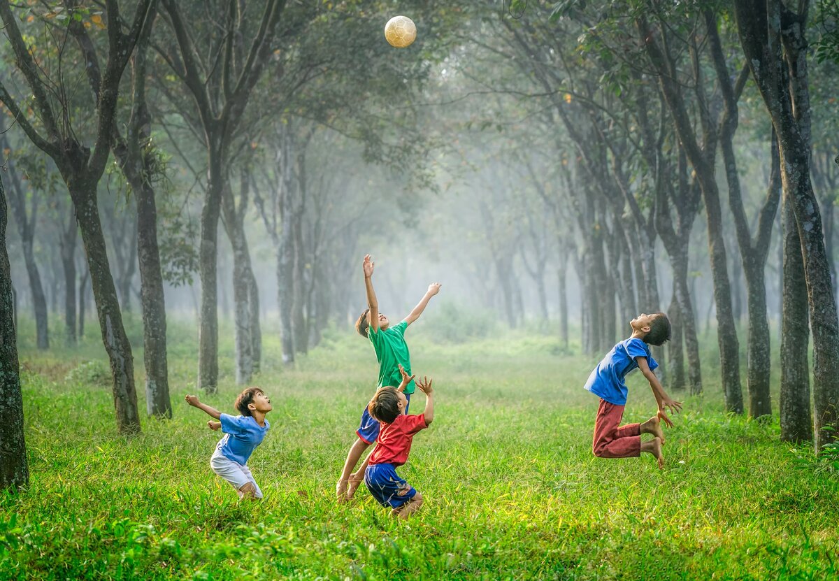 Фото Robert Collins