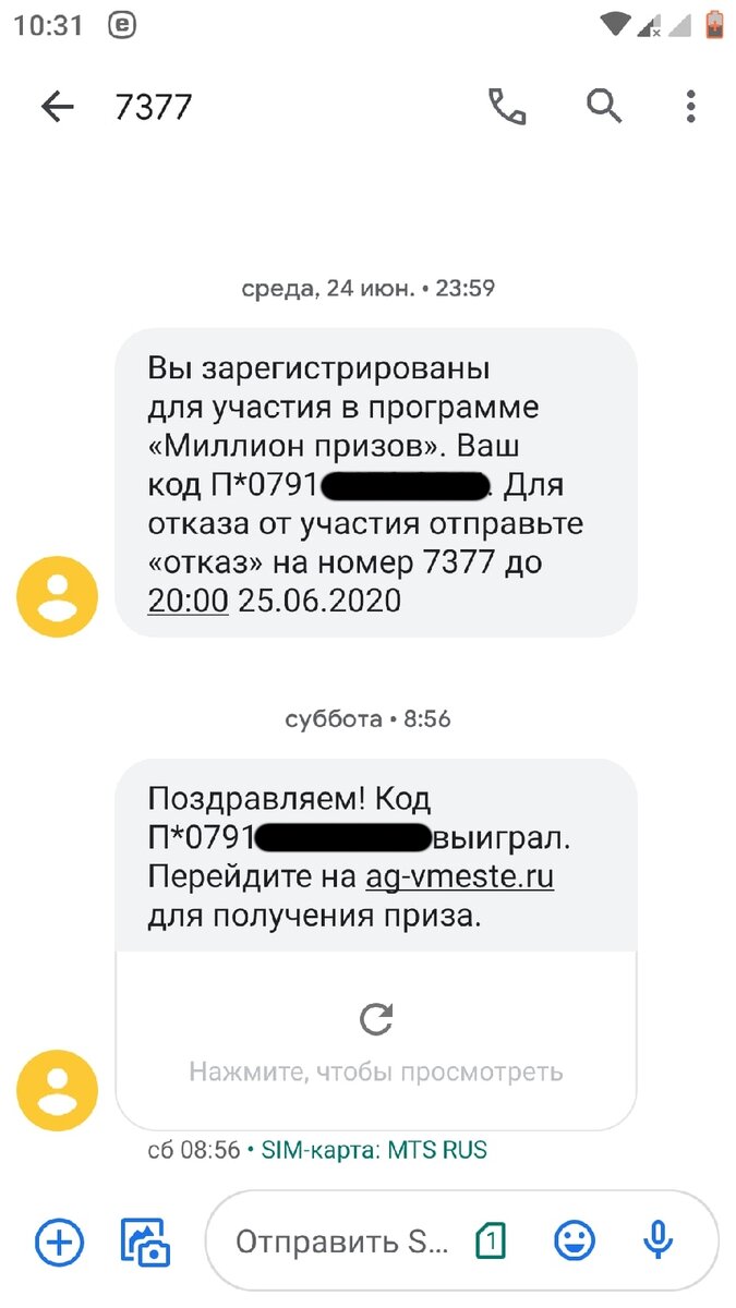 Подарили 3000 рублей за онлайн голосование по поправкам в конституцию |  Блог не эксперта | Дзен