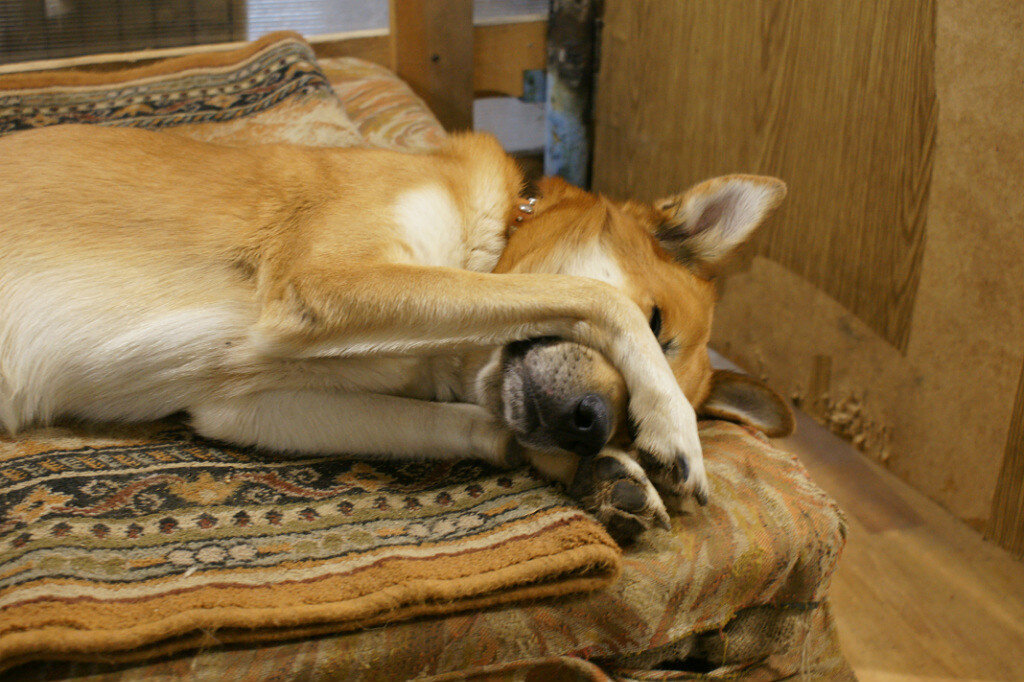 Ничего не вижу