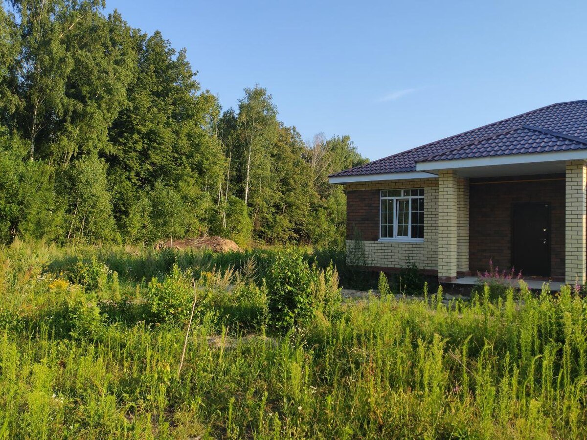 Наш участок, на котором еще работать и работать