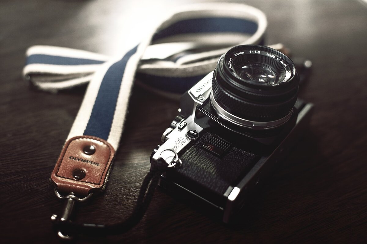 Фото – pixabay.com