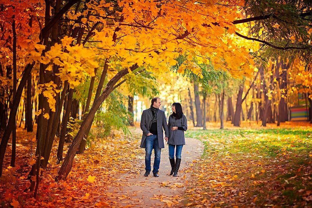 Изображение из открытых источников