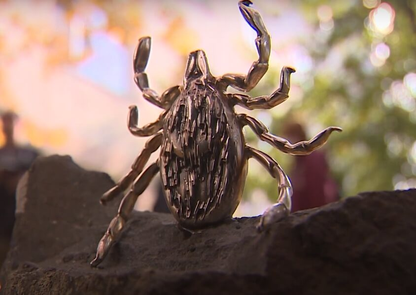 Антон Чертоусов