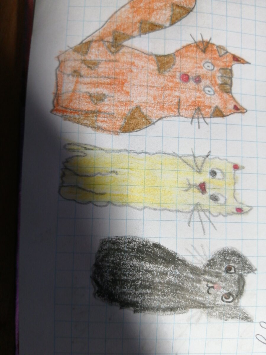 Котикиии