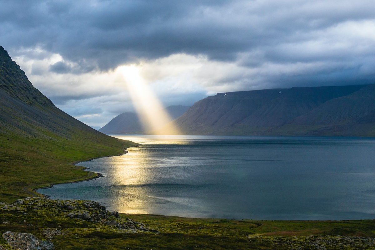 Фото Давиде Кантелли на Unsplash