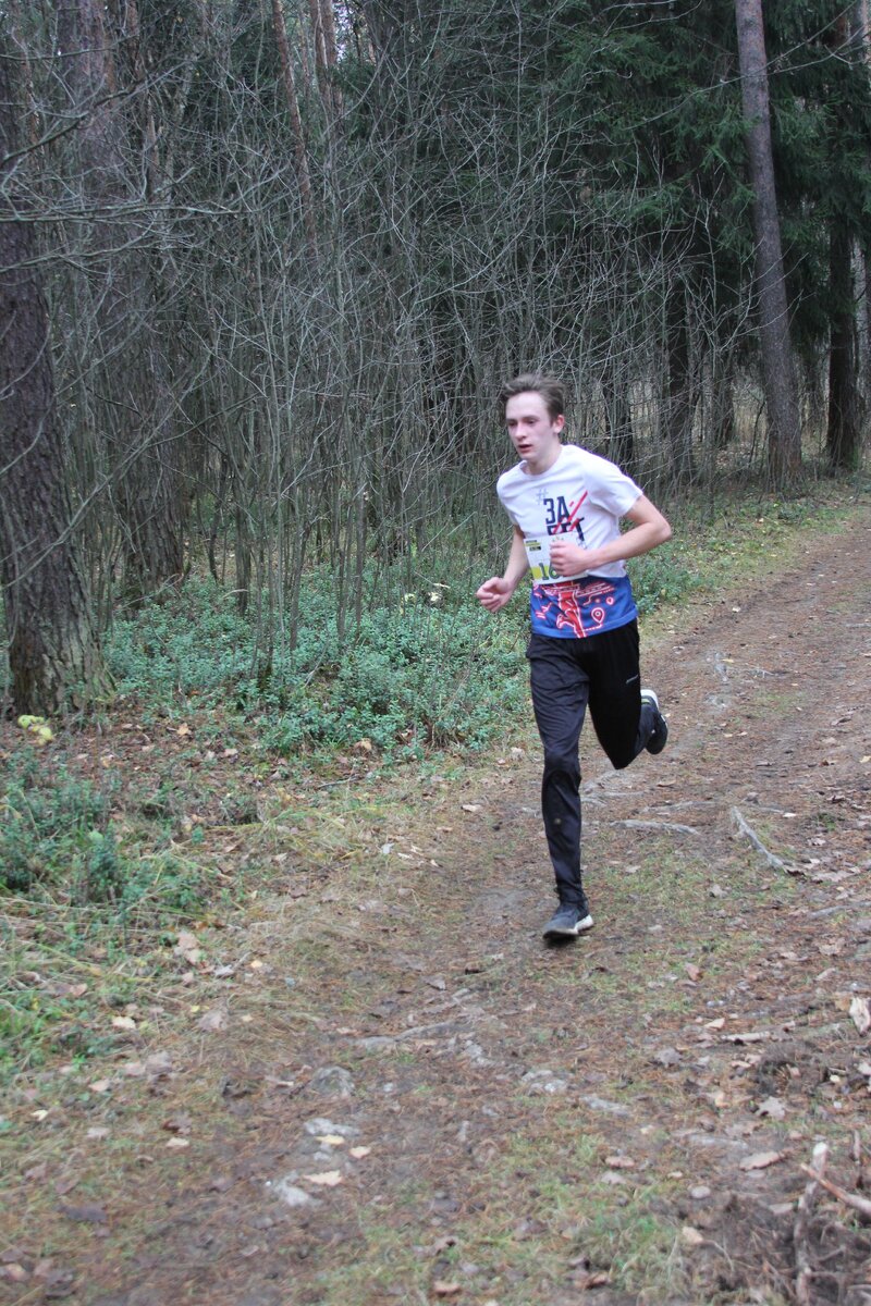 "Следствие установило, что ты - дура!" ((с) х/ф "Блокбастер"). Диванные аналитики установили, что бегать - скучно.