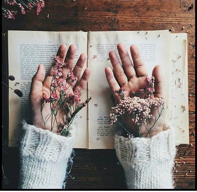 Нам книг всю прелесть не понять..💕