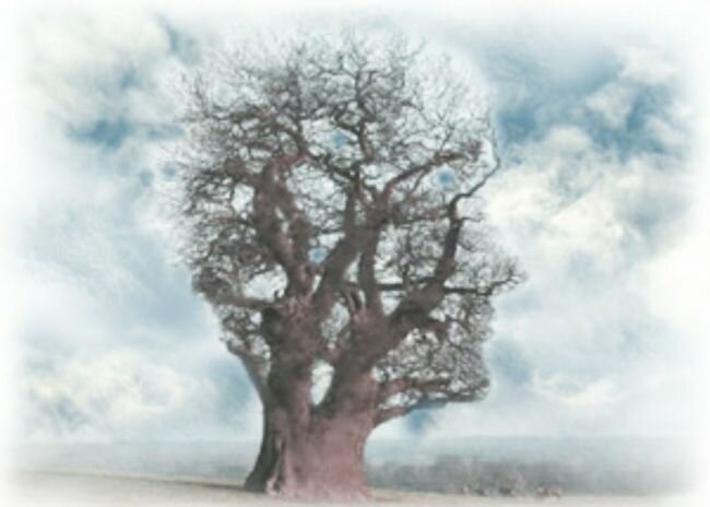 Дерево или голова? Изображение взято из гугл поиска.