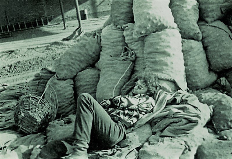 Студент на сборе картошки в колхозе (1980-е).