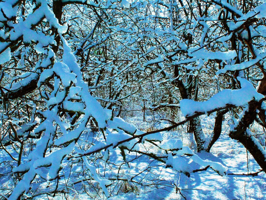 Мартин Селлаит фотограф, 2020