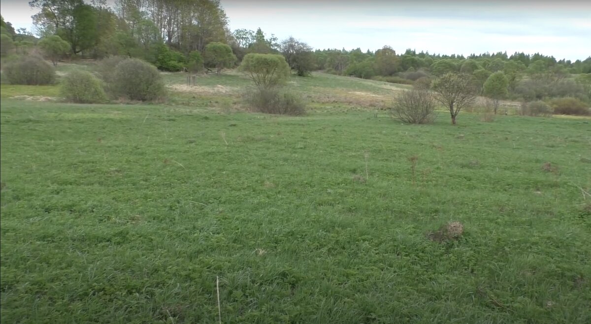 Урочище, куда я направлялся.