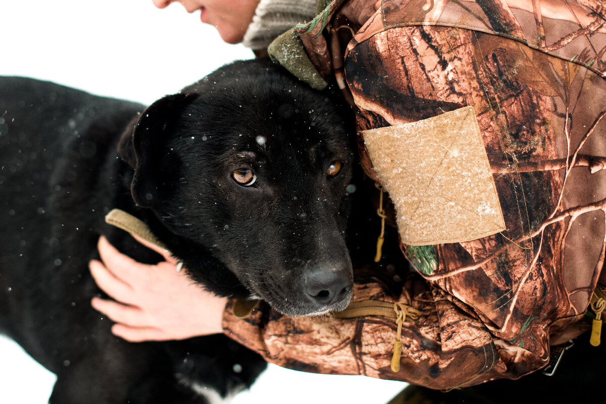 Хайди не замкнулся в приюте с первых дней, а искал поддержки у людей