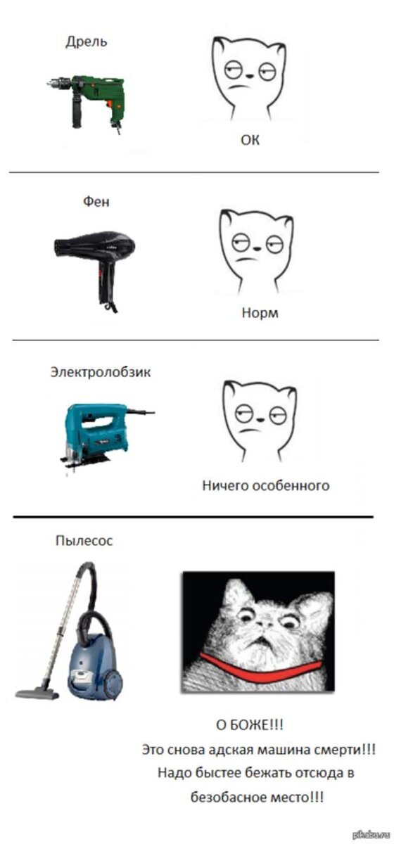 Смешные кошки мемы. Мемы про котиков. Мемы комиксы. Мемы с котами. Мемы про что то.