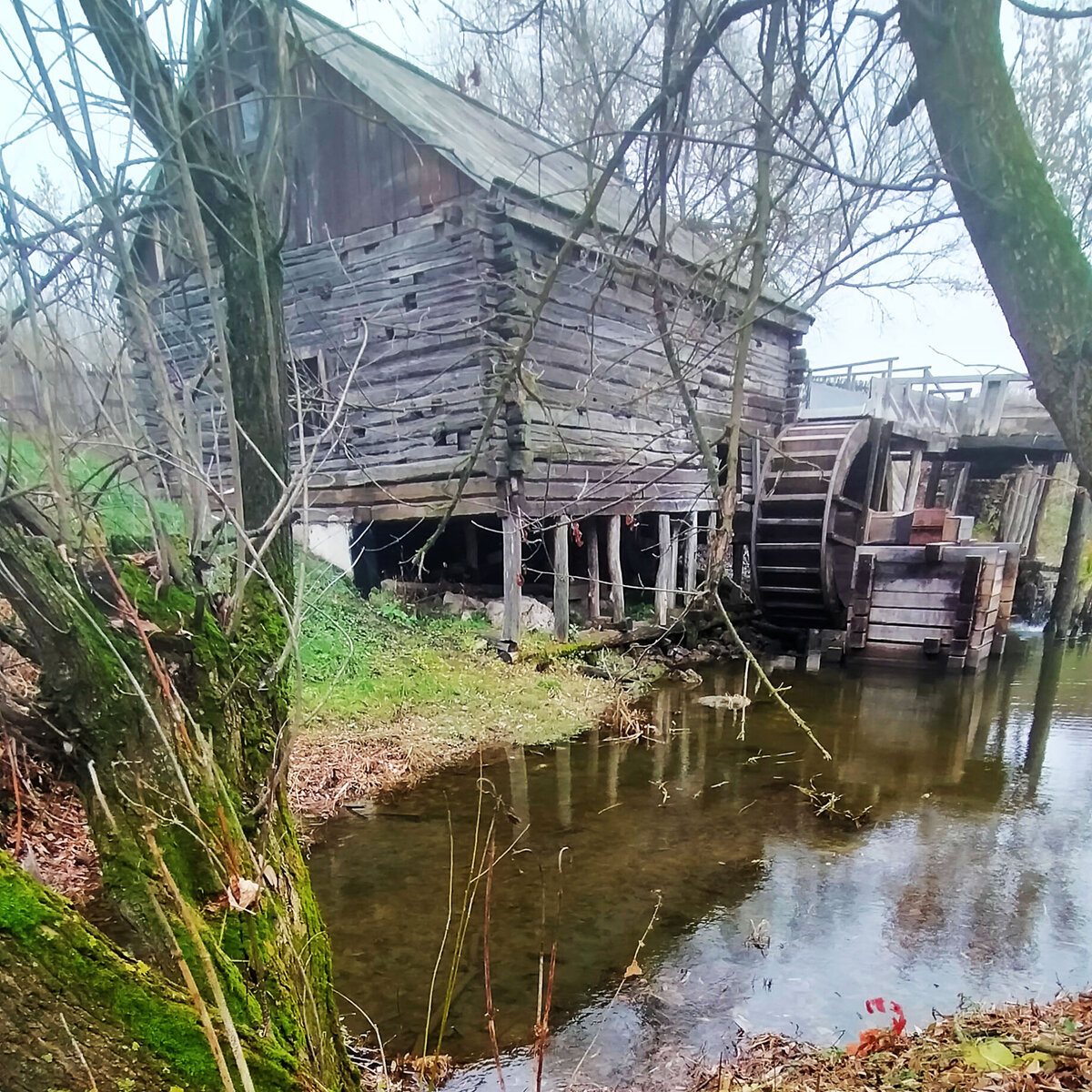 Листайте карусель - там старушка во всех ракурсах и кот учёный!