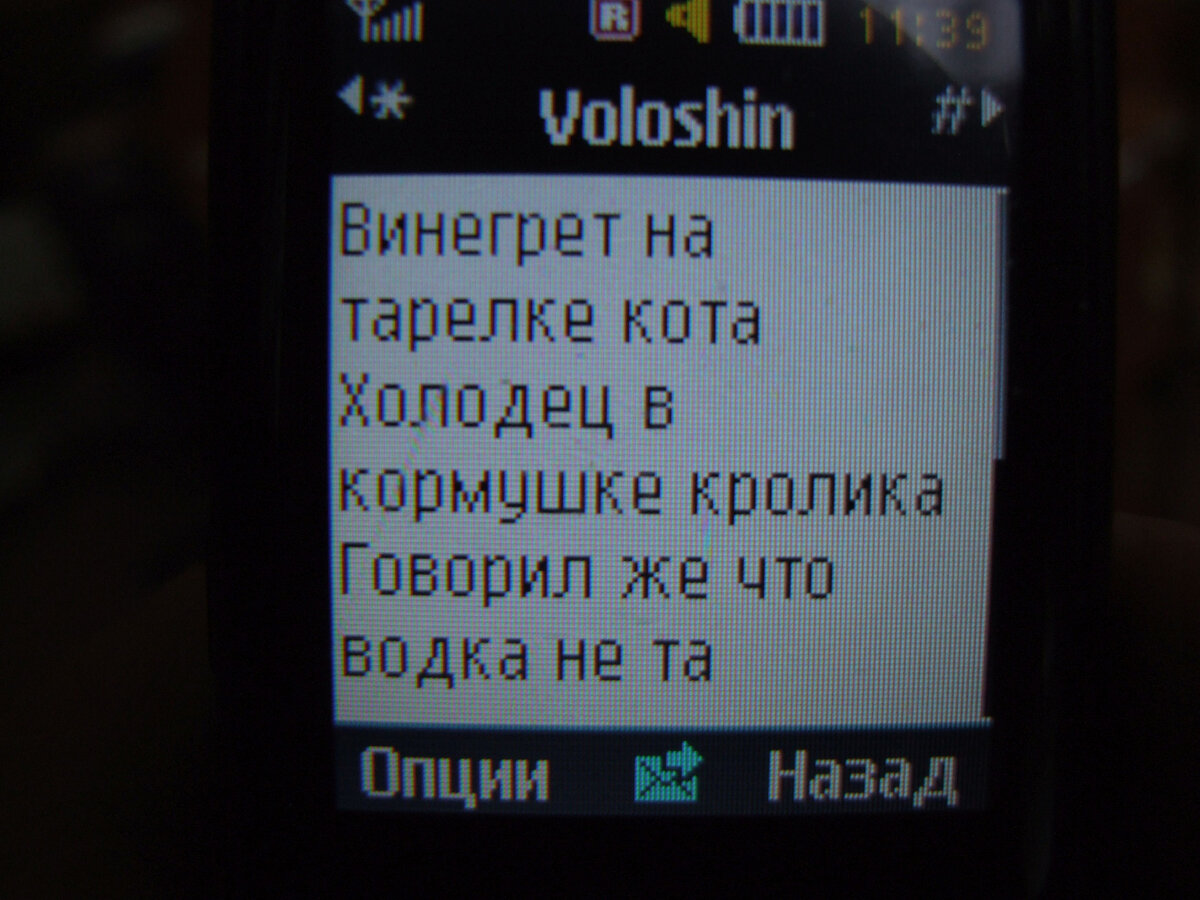 СМС в телефоне от Евгения Волошина. Фото автора