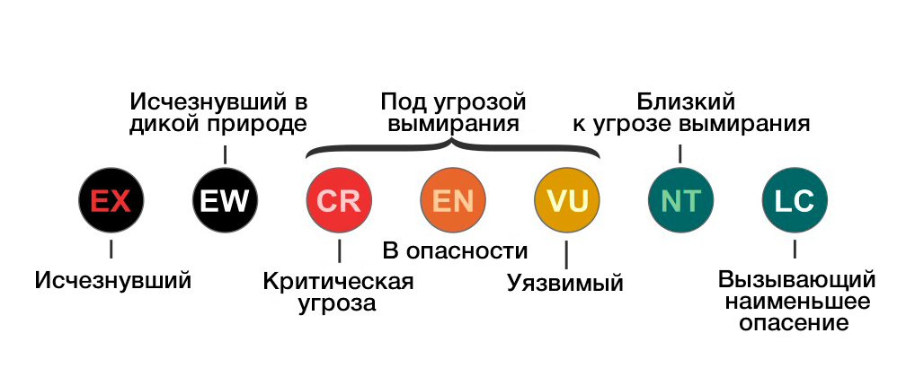 Охранные статусы мсоп