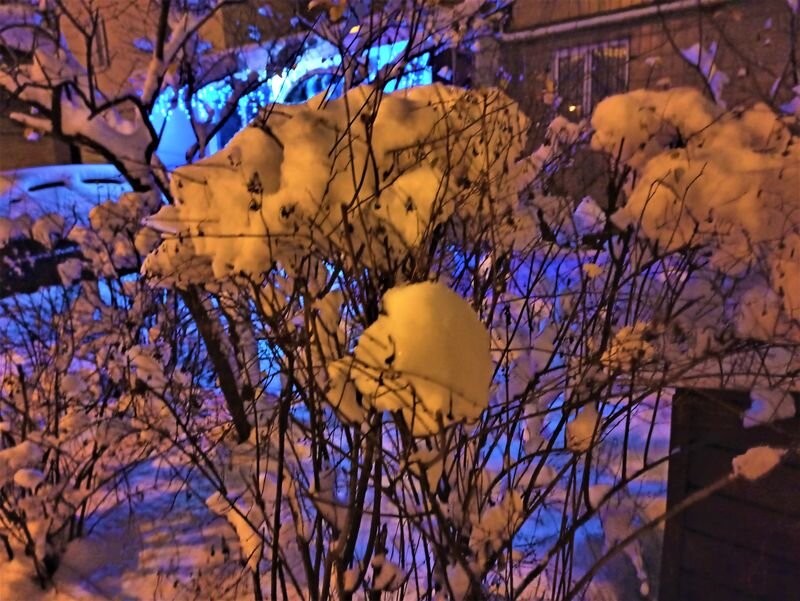  Фото автора.