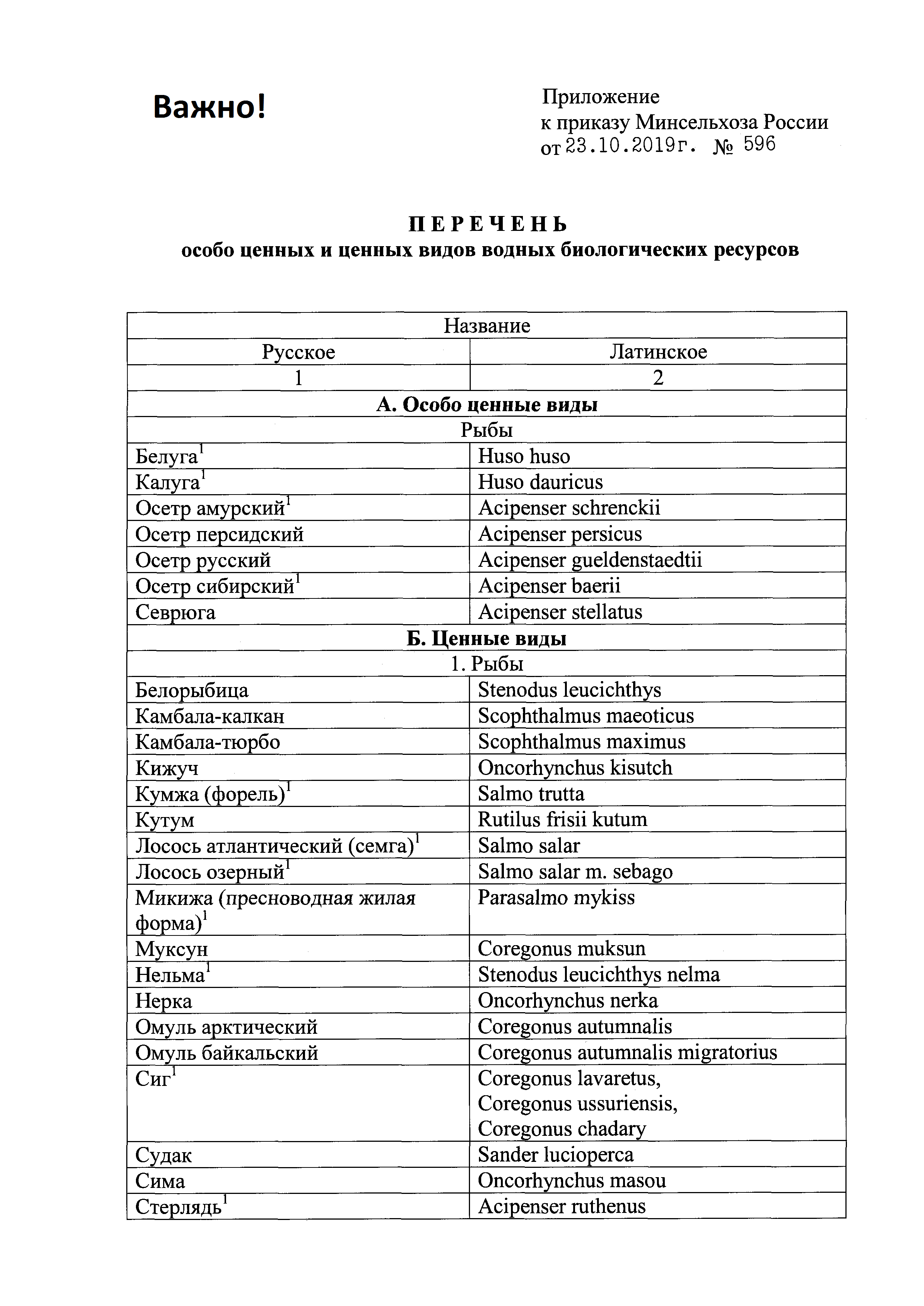 Фото из открытых источников "Яндекс картинки"