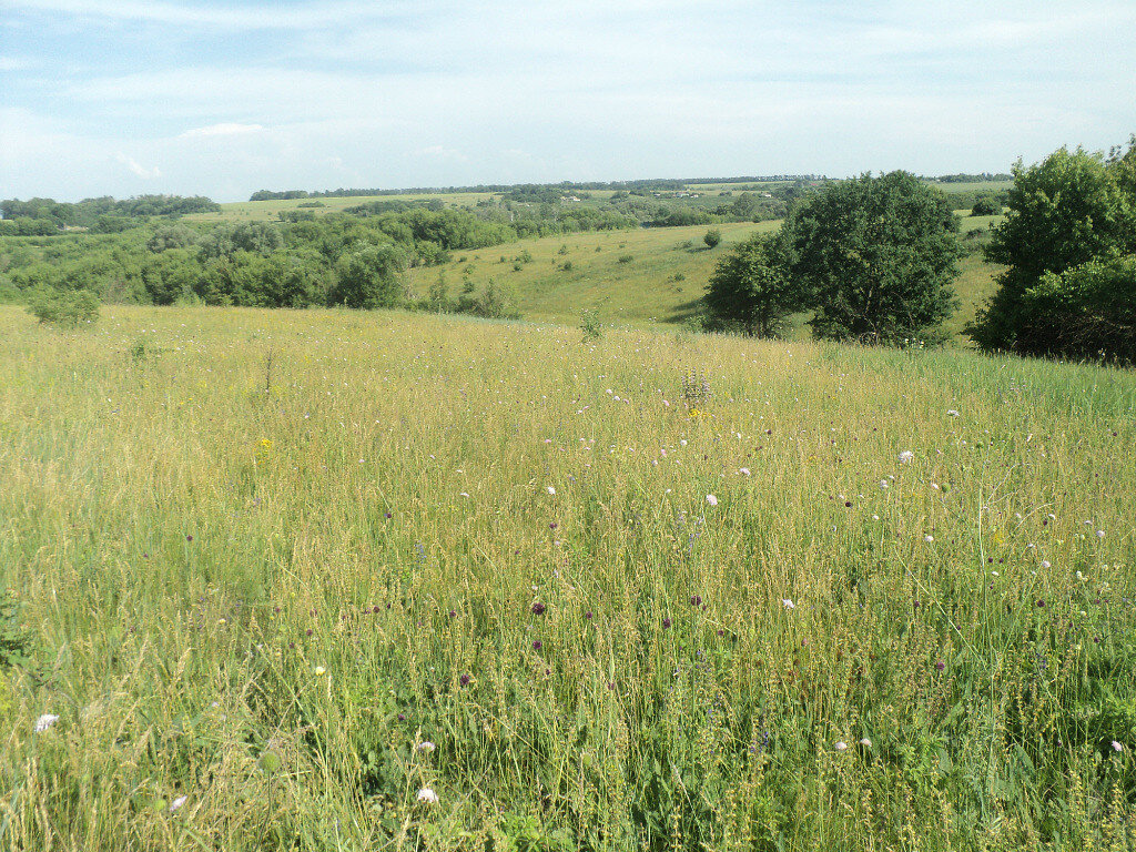 фото автора канала