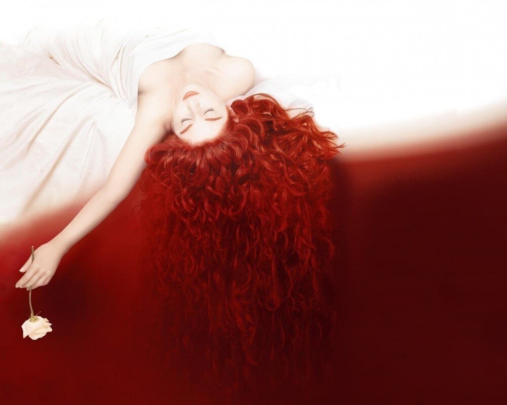 Обложка книги "Парфюмер..." Фото взято из открытых источников