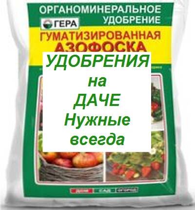 лучшие удобрения для дачи