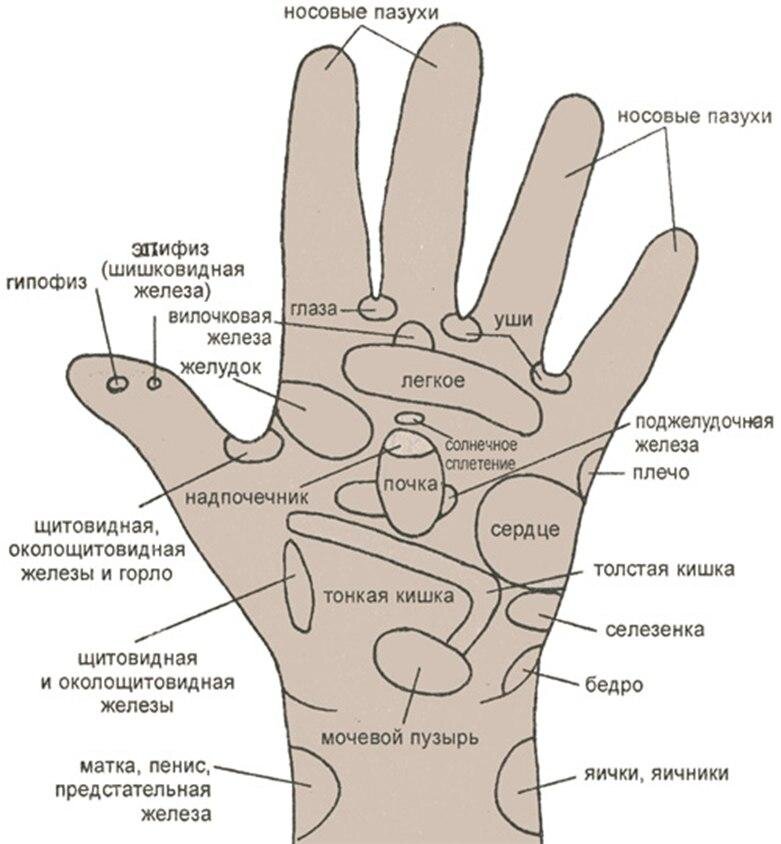 Акупунктура ладони схема